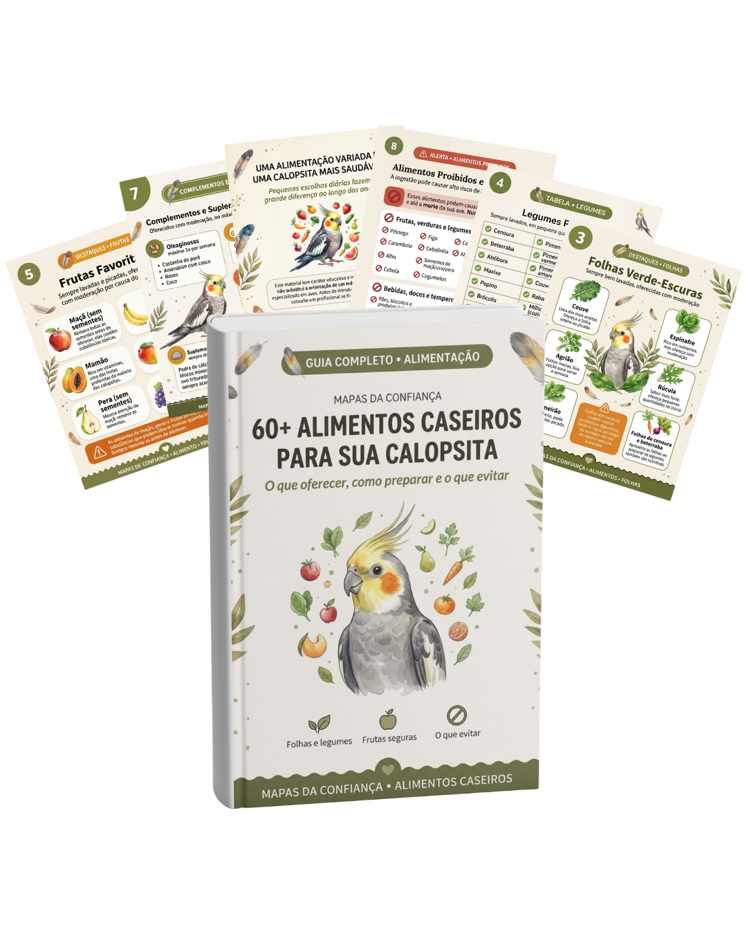 Mockup do guia 60+ Alimentos Caseiros