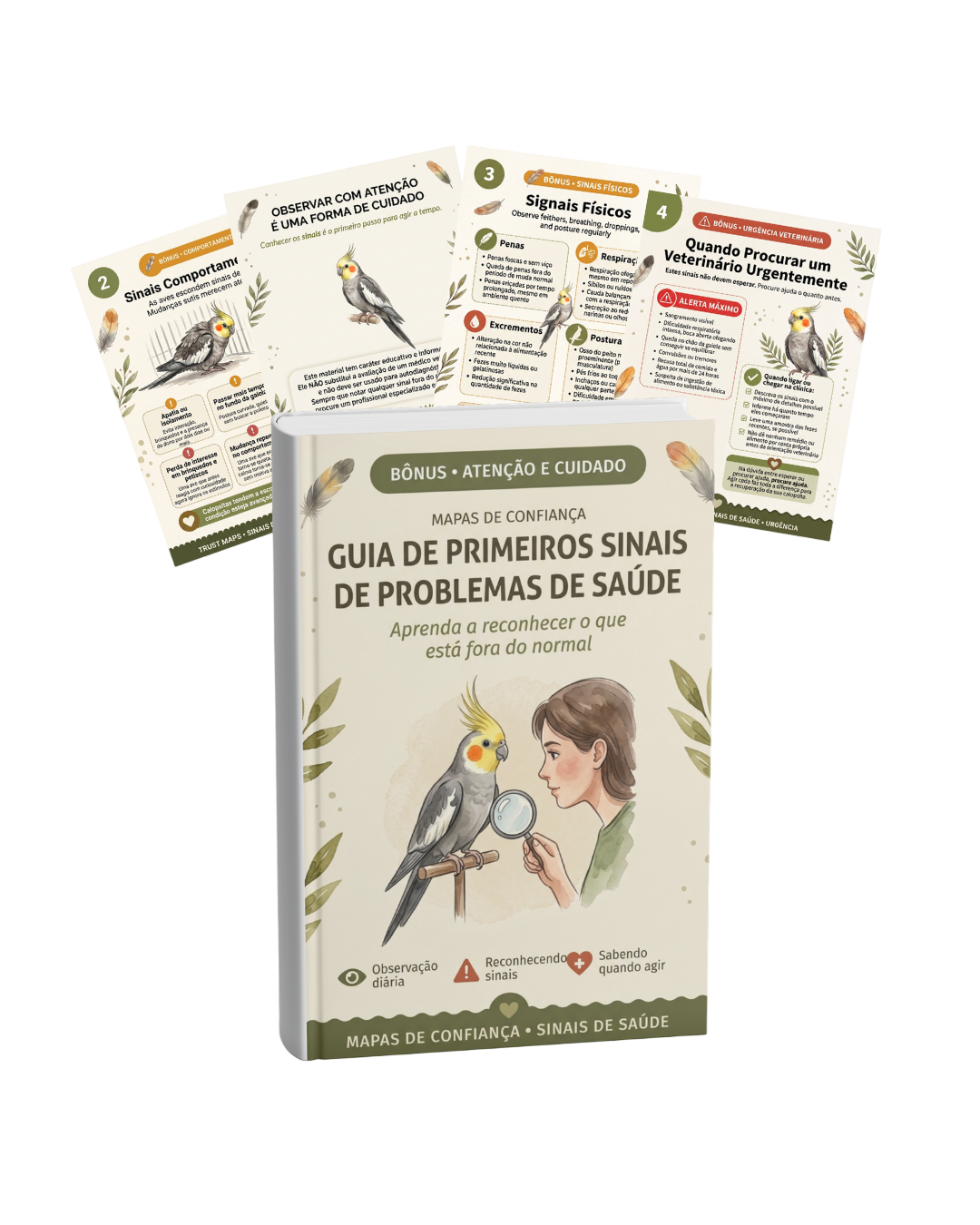 Mockup do bônus Primeiros Sinais de Problema de Saúde
